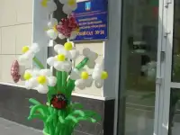 Воздушные шары