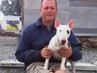 Гостиница для собак 