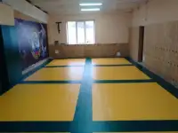 Борцовский ковер, стеновые протекторы, маты..., фотография 2