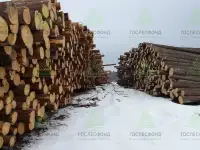 Пиловочник хвойный ель, сосна ГОСТ 9463-88, 18-60 см