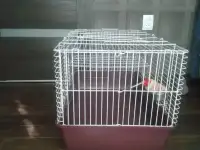 Продаётся клетка, фотография 2