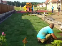 Озеленение +плюс работы на участке, фотография 5