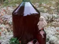 Бобровая струя