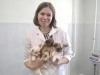 Ветеринарный врач на дом, фотография 2