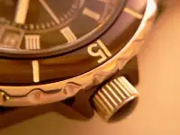 Charles Vogele (Water Resistant 10Bar), фотография 3