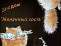 Передержка питомцев на время Вашего отсутствия.