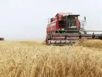 Рентабельное Сельхозпредприятие 5850 га.Недорого. Активы более 146 млн.руб.