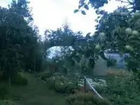 Продается участок, фотография 4