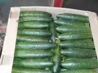 Огурцы