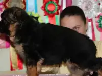 Купите себе СЧАСТЬЕ!, фотография 4