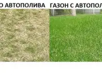 Автополив под ключ