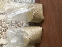 Сухой дафний и  автоматическая кормушка.