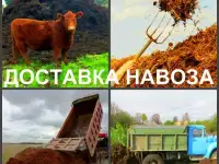 Мы доставим вам навоз, перегной, чернозём.