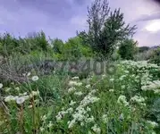 Продам земельный земельный участок
