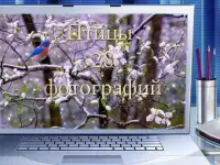 Профессиональная компьютерная помощь. Качественно и быстро.