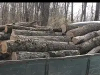Дрова