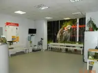 Ветеринарная клиника рядом с метро Ясенево., фотография 4