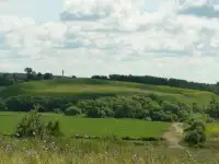 Отдых и экскурсии в Подмосковье, фотография 6