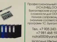 Профессиональный бухгалтер