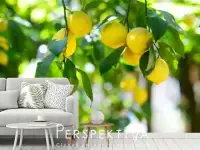 Фотообои купить