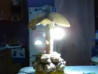 продаю свое, фотография 2