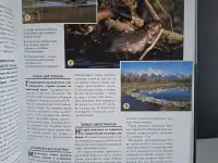 Детская энциклопедия, фотография 3