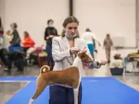 Услуги хендлера