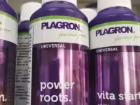 PLAGRON Power Roots 100 ml