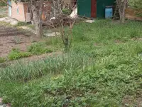 продаю, фотография 7