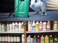 Дезинфекция Уничтожение тараканов клопов мышей Дезинсекция. Удаление запахов, плесени, фотография 4