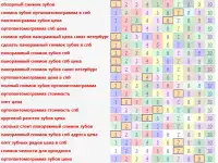 SEO Продвижение стоматологической клиники в СПб, фотография 5