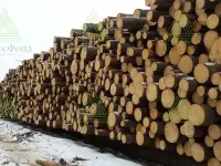 Пиловочник отборный хвойный ель, сосна ГОСТ 9463-88 для срубов от 24 см