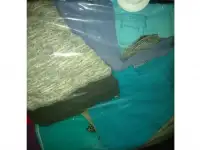Женские вещи, фотография 5