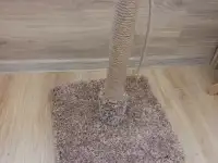 Новая когтеточка