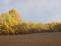 Разнорабочий