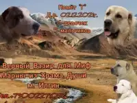 Щенки Среднеазиатская овчарка