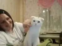 срочно ищу работу