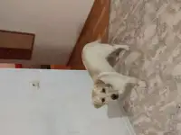 Продам