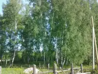 Парк в собственность, обл. Сосновский раон с. Архангельское ул. Центральная 142А.