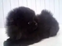 П-к: