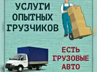 Газель