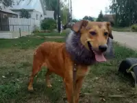 Красотка эльза