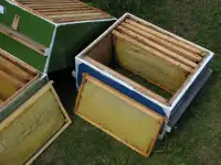 Сушь для пчёл, фотография 3