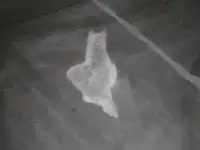 Ремонт бетонных полов