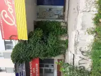 Продаем нежилые помещения, Жигулёвск, Самарская область,Г-1,4, фотография 5