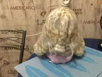Шапка женская, фотография 3