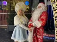 Дед Мороз и Снегурочка на дом