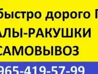 КУПЛЮ ГАРАЖИ ПЕНАЛЫ РАКУШКИ БЫСТРО ДОРОГО