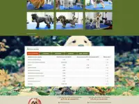 Разработка сайтов, создание сайтов php-программист, фотография 9
