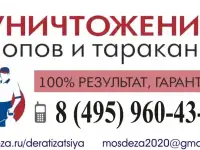Уничтожение Насекомых
